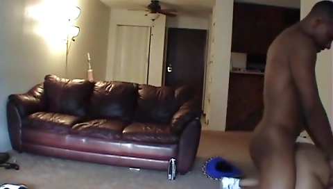 A brunette with a big ass is sucking a cock in the bed