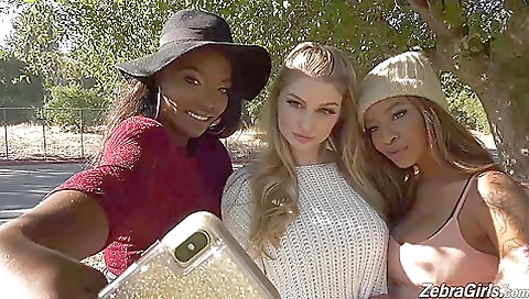 Daya Knight & September Reign & Bunny Colby - Zebra Daya Knight & September Reign & Bunny Colby - Zebra